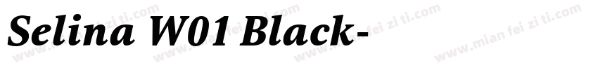 Selina W01 Black字体转换